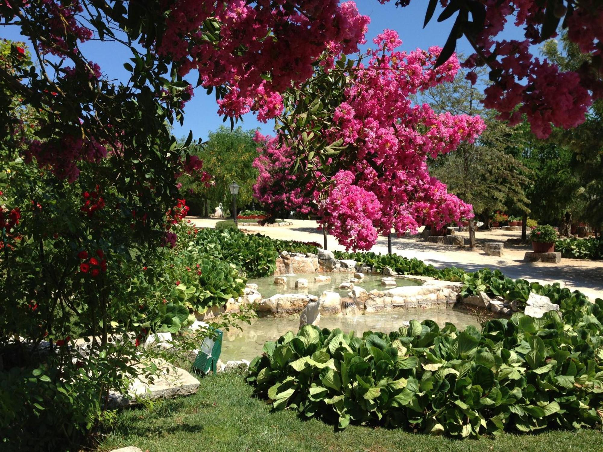 Otium Country House Alvorge Luaran gambar