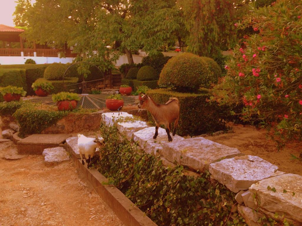Otium Country House Alvorge Luaran gambar
