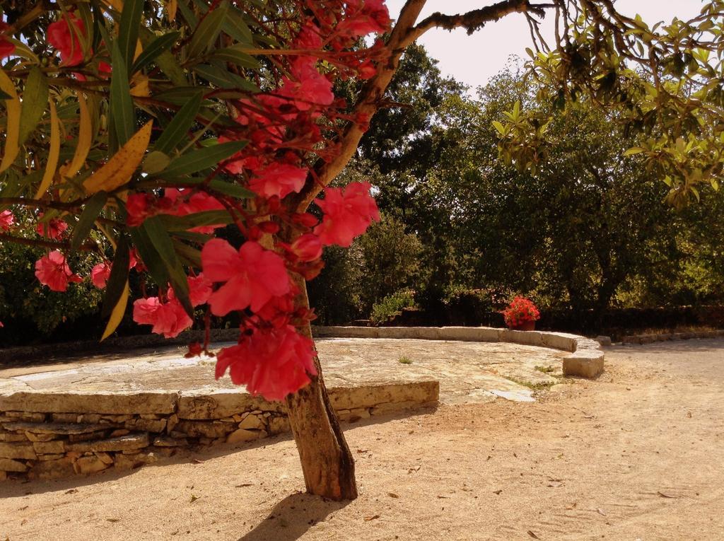 Otium Country House Alvorge Luaran gambar